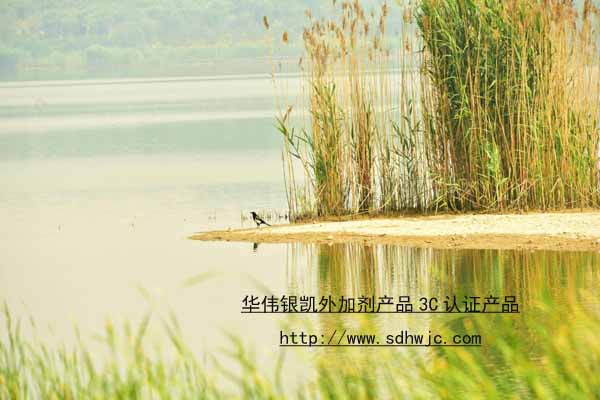 混凝土減水劑 混凝土減水劑