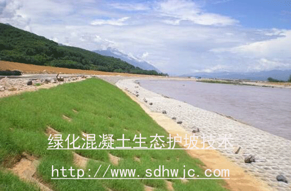 綠色混凝土護坡技術(shù) 綠色混凝土護坡技術(shù)