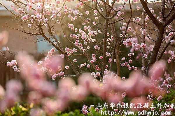 春暖花開  生日快樂    ----華偉銀凱三月份集體生日會(huì)如期舉行